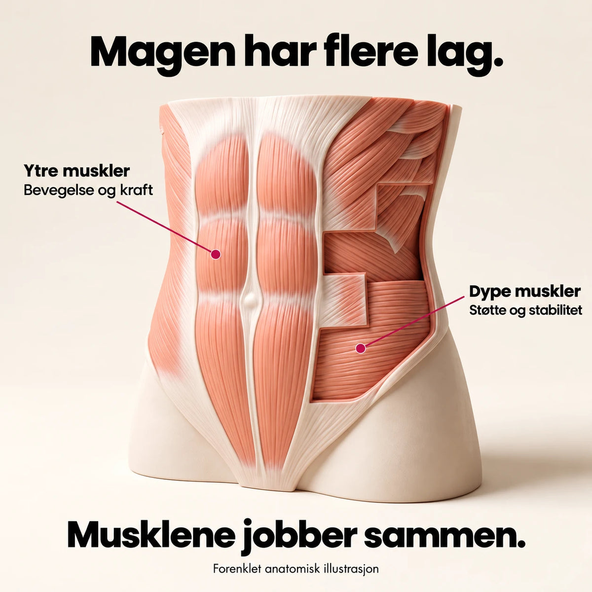 Magen trenger kraft.